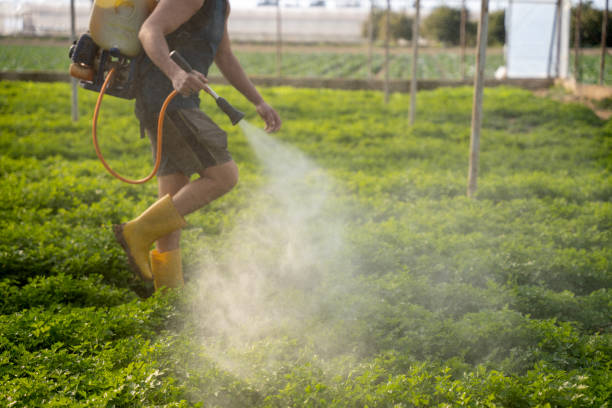 Best Best Pest Control Companies  in Saks, AL