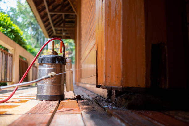 Best Mosquito Control Services  in Saks, AL
