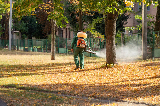 Best Pest Inspection Near Me  in Saks, AL